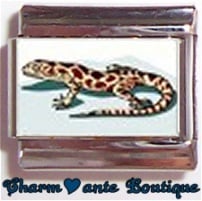 « Photo charm » - Thème : Animaux