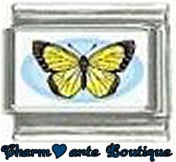 « Photo charm » - Thème : Papillons