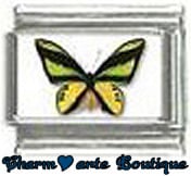 « Photo charm » - Thème : Papillons