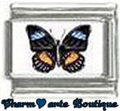 « Photo charm » - Thème : Papillons