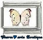 « Photo charm » - Thème : Papillons