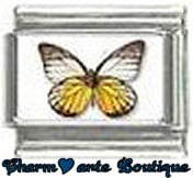 « Photo charm » - Thème : Papillons