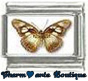 « Photo charm » - Thème : Papillons