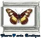 « Photo charm » - Thème : Papillons