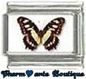 « Photo charm » - Thème : Papillons