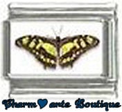 « Photo charm » - Thème : Papillons