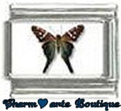 « Photo charm » - Thème : Papillons