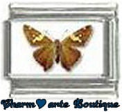 « Photo charm » - Thème : Papillons