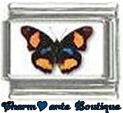 « Photo charm » - Thème : Papillons