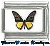 « Photo charm » - Thème : Papillons
