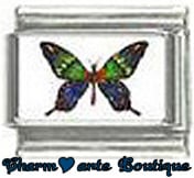 « Photo charm » - Thème : Papillons