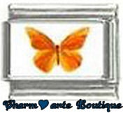 « Photo charm » - Thème : Papillons