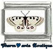 « Photo charm » - Thème : Papillons