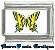 « Photo charm » - Thème : Papillons