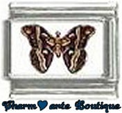 « Photo charm » - Thème : Papillons