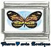 « Photo charm » - Thème : Papillons