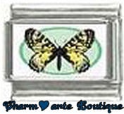 « Photo charm » - Thème : Papillons