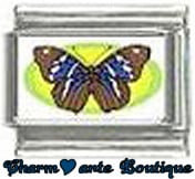 « Photo charm » - Thème : Papillons