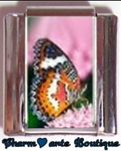 « Photo charm » - Thème : Papillons