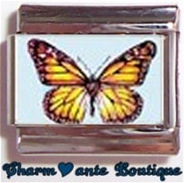 « Photo charm » - Thème : Papillons