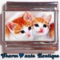 « Photo charm » - Thème : Chats