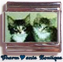 « Photo charm » - Thème : Chats