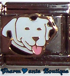 Tête de chien dalmatien